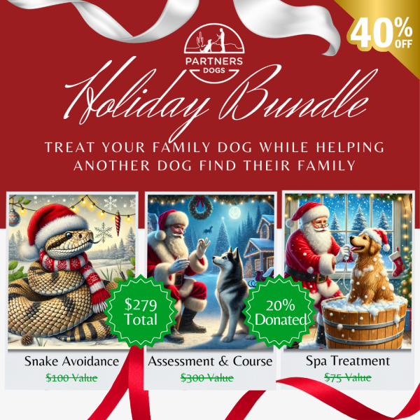 Foundation Bundle